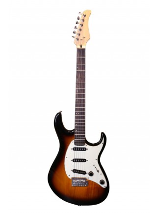 Baslı Elektro Gitar