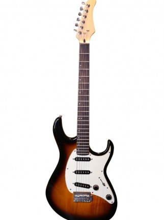 Baslı Elektro Gitar