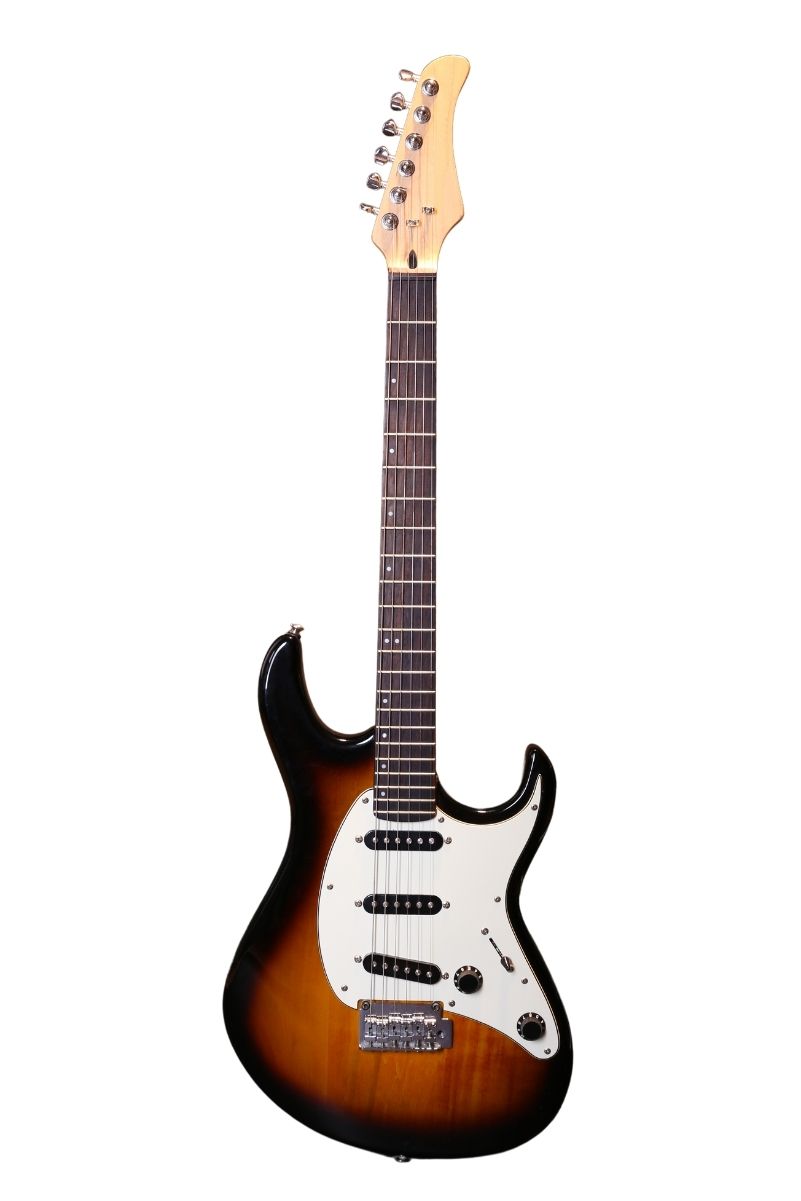 Baslı Elektro Gitar